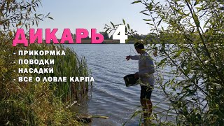 Осенняя ловля сазана на ДИКАРЕ. Как поймать карпа и сазана в любую погоду и время года. Карпфишинг