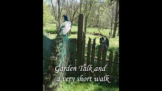 Nursery bought Perennials/ and a short stroll through the garden. by Jeri Landers of Hopalong Hollow 15,311 views 10 days ago 12 minutes, 6 seconds