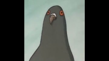 All Preview 2 Evil Emperor Penguin Deepfakes Part 3