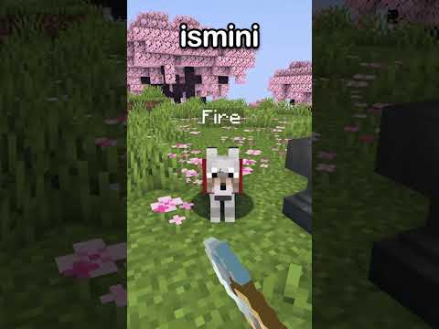 Minecraft'ta Kimsenin Bilmediği 5 Şey!