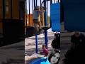 #monkey play with boys #funny #ai #attack #cute #love #samane #shortvideo