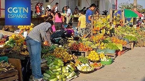 Cientos de extranjeros visitan mercados para conocer exóticas frutas de Colombia
