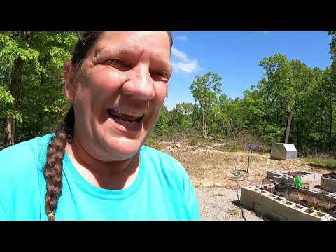 Homesteading From Raw Land | Planting a Raised Bed Garden | Finishing Trash Bin & Tool Shed
