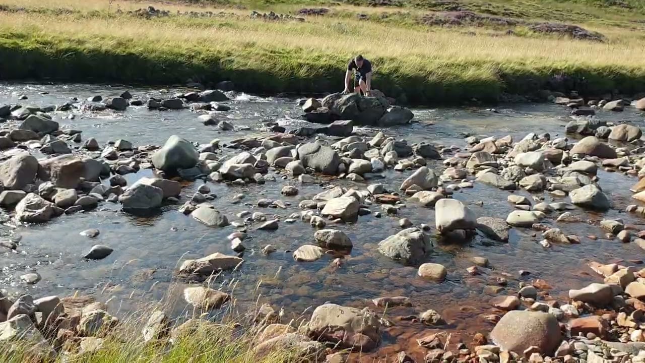 King Palm Lemon Haze + AK47 and Papaya at Clunie Water, Cairngorms in Scotland