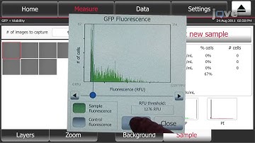 GFP/RFP transfection and cell viablity using Tali