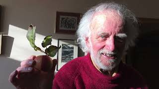Tom Sexton's  Celebration of Life video