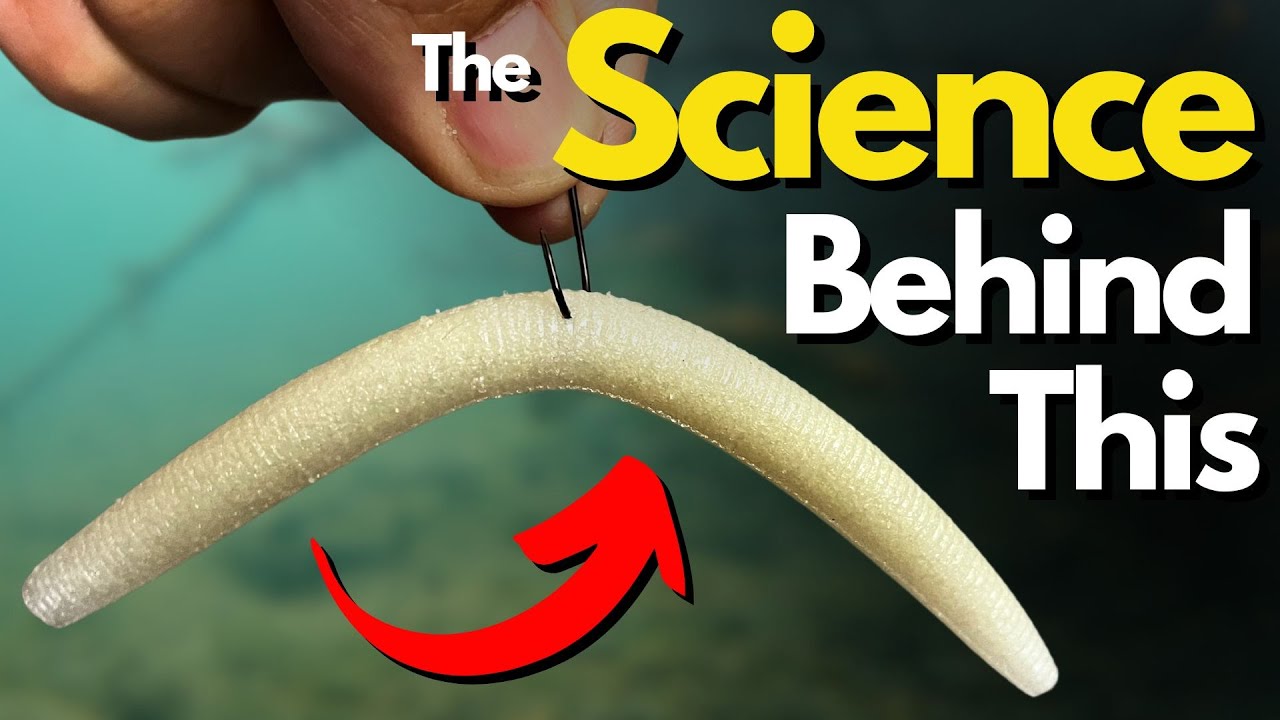 WHY Bass Love the Wacky Rig: Must Know Feeding Behavior