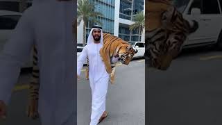 Average Day in Dubai Be Like 😂🐅 #Dubai#DubaiLife#OnlyInDubai#RichLife#ViralReels#Unexpected#Wow