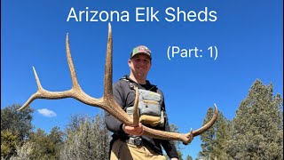 Arizona Elk Sheds (Part: 1)