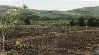 Arif Sağ Ervah I Ezelden Resimi