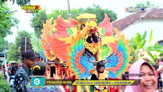 PUPU BAYU ( Arak - arakan ) BUROK TRINANDA MUDA TERBARU LIVE SONGGOM BREBES | 18-04-2024