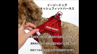 メッシュフィットハーネス - EZYDOG
