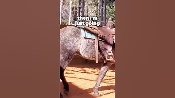 Why Teaching Horses to Queue at Mounting Block Can Be Challenging