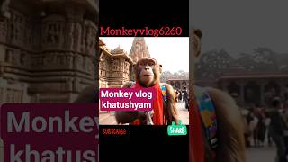 monkey vlog khatushyam🐒 || Ai monkey vlog || Ai monkey video #aimonkey #myfirstvlog #vlog