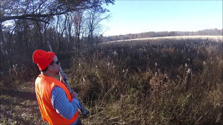 Mitch's Pheasant Hunt