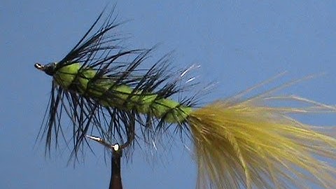 Fly Tying an Extended Body Woollybugger