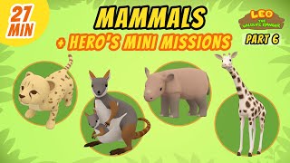 Mammals (Part 6/8)  Junior Rangers and Hero's Animals Adventure | Leo the Wildlife Ranger