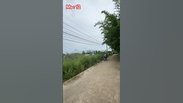 320 M2 Đất ONT Sổ Hồng Riêng / Đường xe Hơi / Mỹ Lộc cần giuộc Long An #nhabanlongan #batdongsan