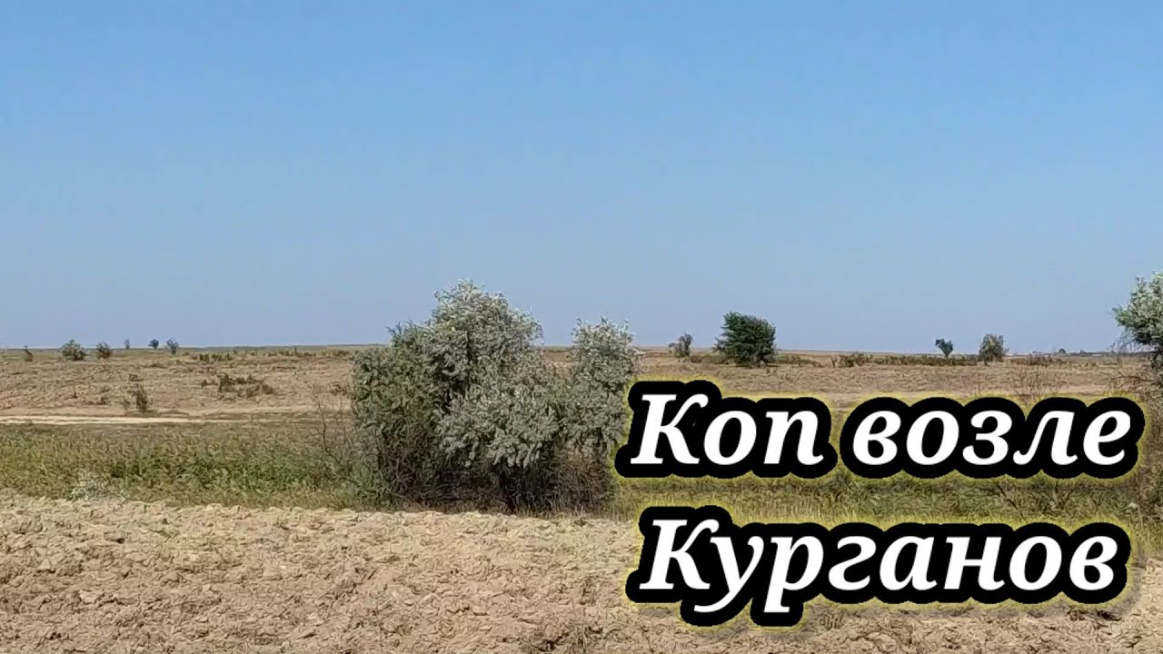 ПОИСК МОНЕТ МЕТАЛЛОИСКАТЕЛЕМ НА ПОЛЕ ВОЗЛЕ КУРГАНОВ. КОП 2021. НАХОДКИ С ФОРТУНА ПРО 2.