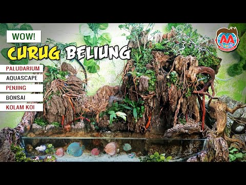 paludarium-curug-beliung-hasil-hunting---tema-air-terjun-penjing-bonsai-dan-aquascape-kolam-koi