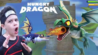 JOGANDO PELA PRIMEIRA VEZ O JOGO HUNGRY DRAGON