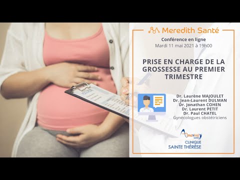 Vidéo: Changements D'humeur Et De Qualité De Vie Pendant La Grossesse Et Le Post-partum Et L'effet D'une Intervention Comportementale Ciblant Un Gain De Poids Gestationnel