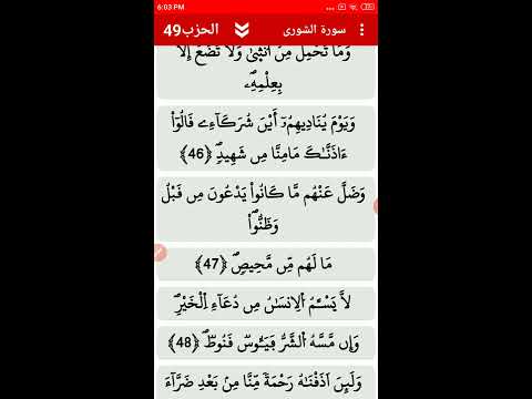 Imagen de la captura de pantalla