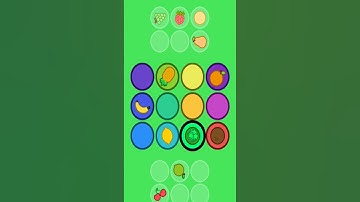 memory Game 🎮🎮