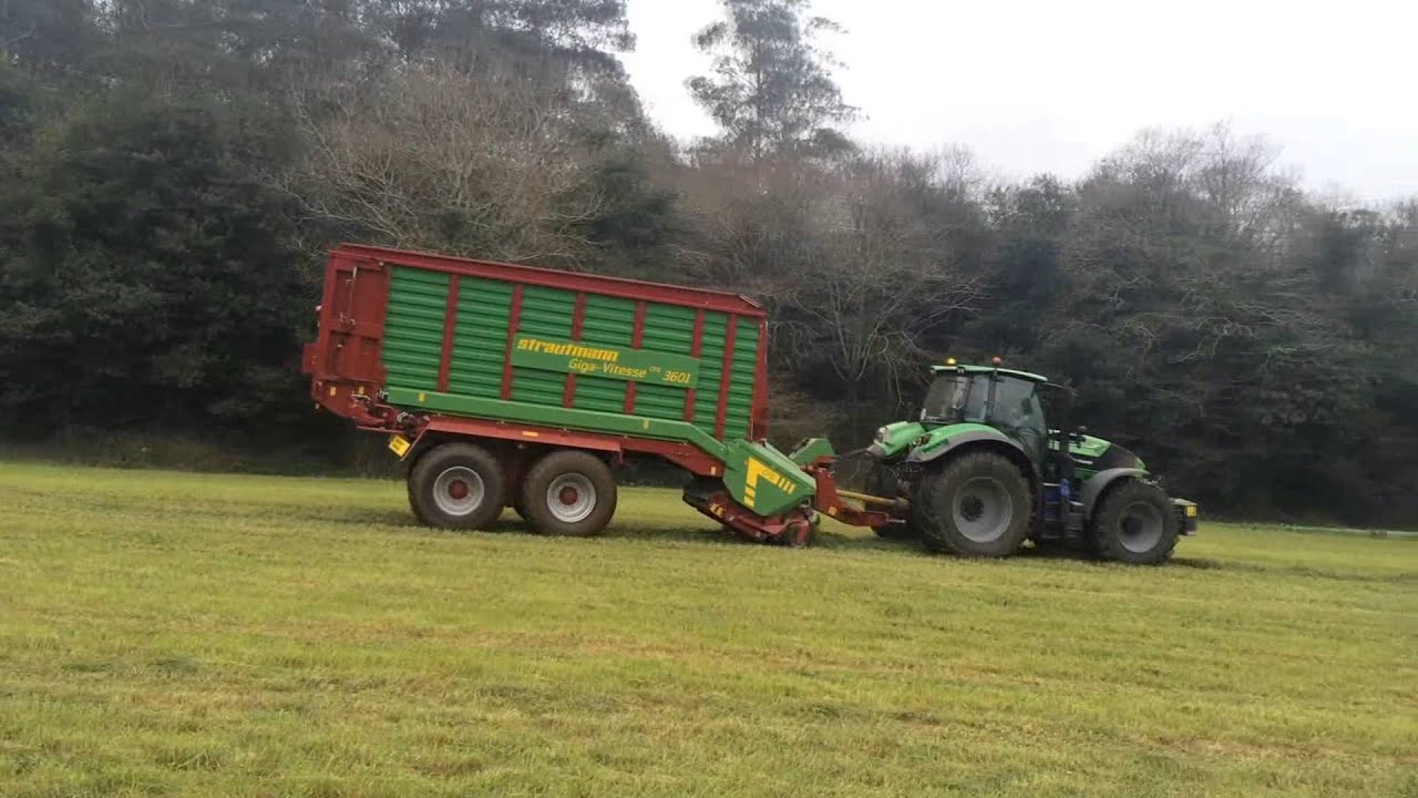 STRAUTMANN GIGAVITESSE CFS 3601