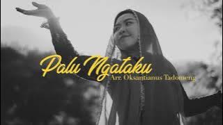 Palu Ngataku - Music Video