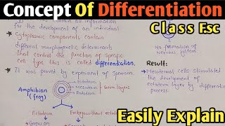 Concept Of Differentiation | Spemann Experiment | Growth And Development | Class 12 (Urdu/Hindi)
