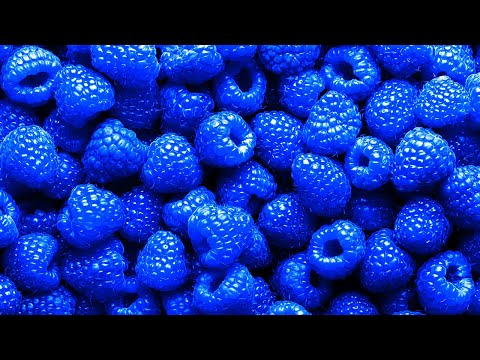 Video: Smaker blå bringebær bringebær?