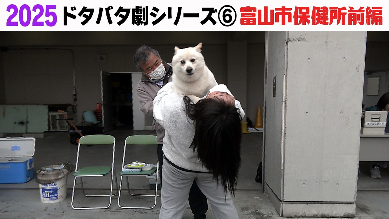 2025狂犬病予防注射会場のドタバタ劇⑥ 富山市保健所前編