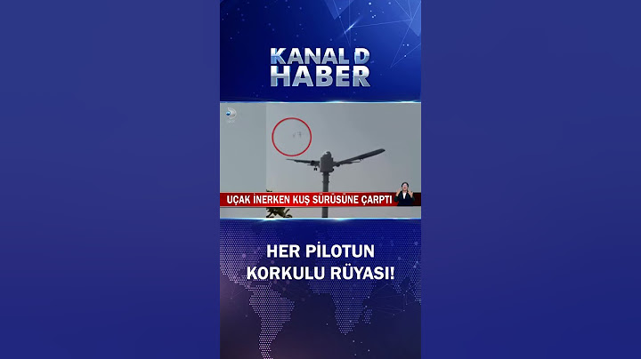 Uçak İnerken Kuş Sürüsüne Çarptı, Felaketten Kıl Payı Döndüler