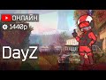 DayZ - Проверка настроения на игру)