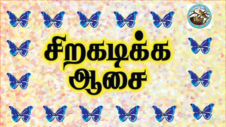 Siragadikka Aasai | Today | 19th to 22nd february 2025 | சிறகடிக்கஆசை | Promo | Review