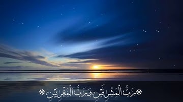 حالات واتس اب قران كريم//رب المشرقين ورب المغربين🎧🌹🌹 للقارئ عمير شميم