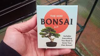 Mini Bonsai Kit From The Oregon Museum Of Science And Industry (OMSI)
