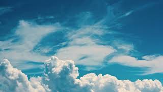 Chafa - 'Blue Skies'