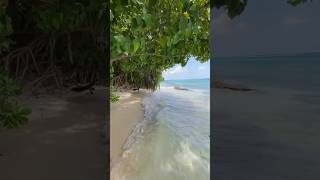 Як виглядає пляж на Мальдівах #shorts