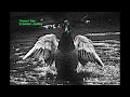 Timeworn Tales, Dj Quacked - duckStep