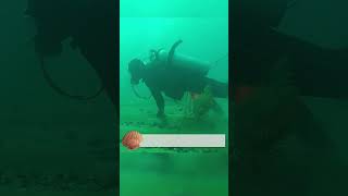 Diving with comms from WW2