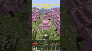 POV:YOU ARE DAQUAVIS #daquavis #minecraft #clutch