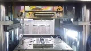Molding Process