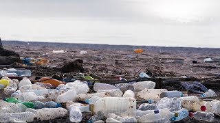 Plastic-Eating Bacteria | The Henry Ford's Innovation Nation