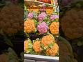 😱Yennathu ithellam real ah‼️#shorts #weird #fruit #viral #youtubeshorts #weirdfruits