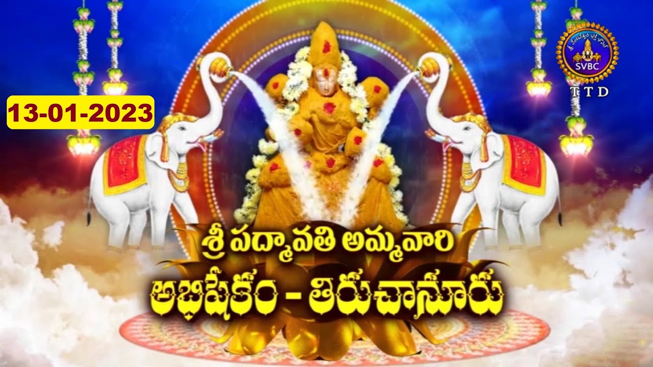 Sri Padmavathi Ammavari Abhishekam || Tiruchanoor  || 13-01-2023 || SVBC TTD