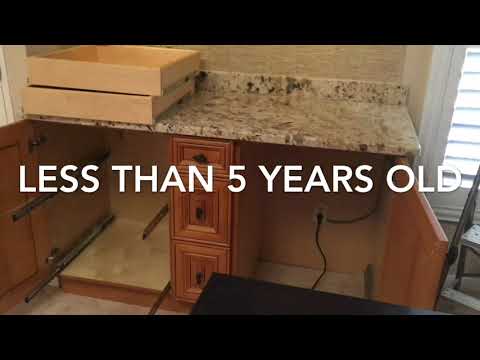 Hidden Drywood Termites Damage In Cabinets Largo Coby S Tentless