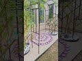 🌹 Create a Charming Rose Corner in Your Garden with Kapagon.com! 🌹