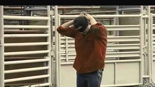 Jackass Number 2